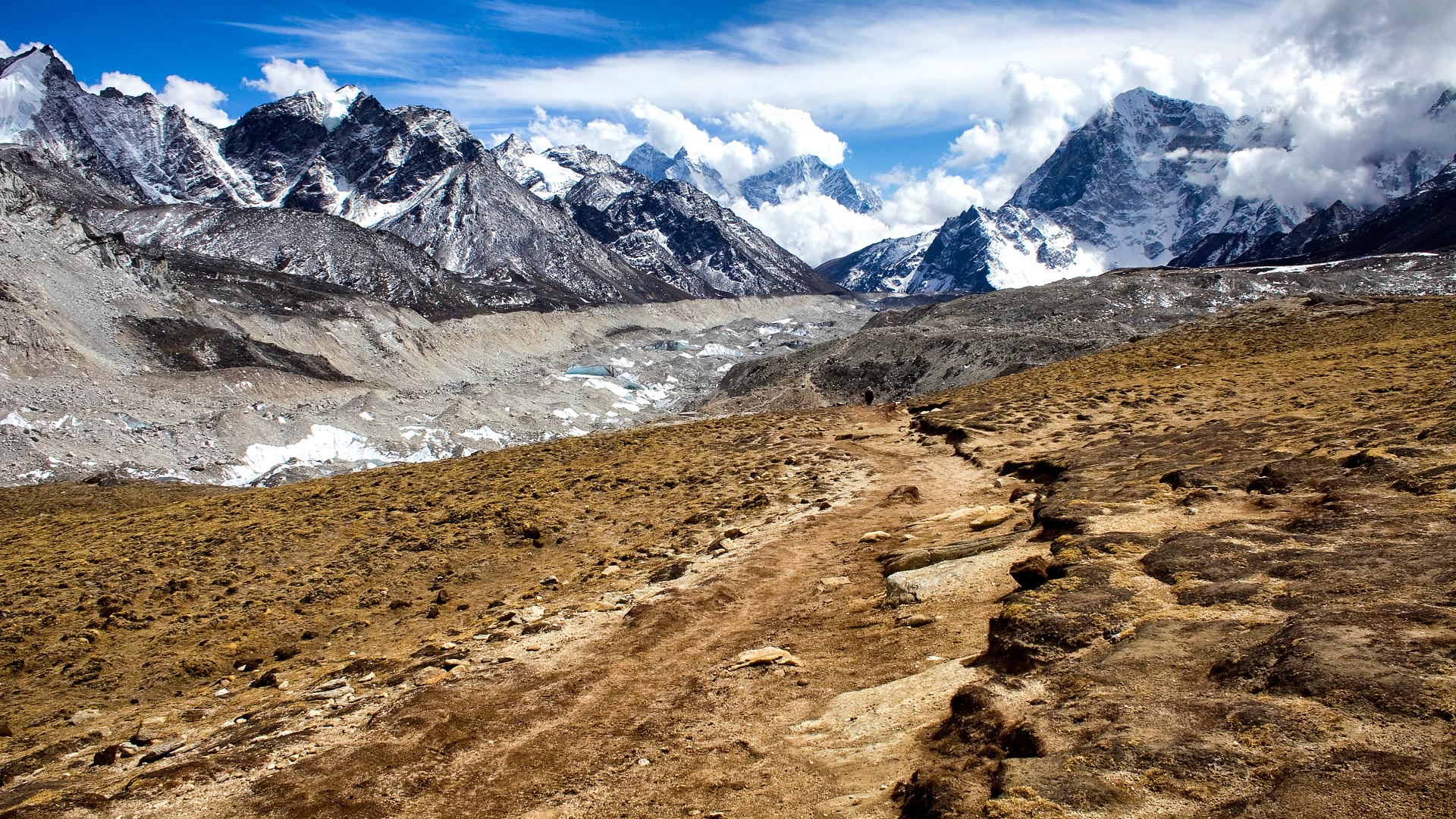 protecting safari from the evils of big travel  