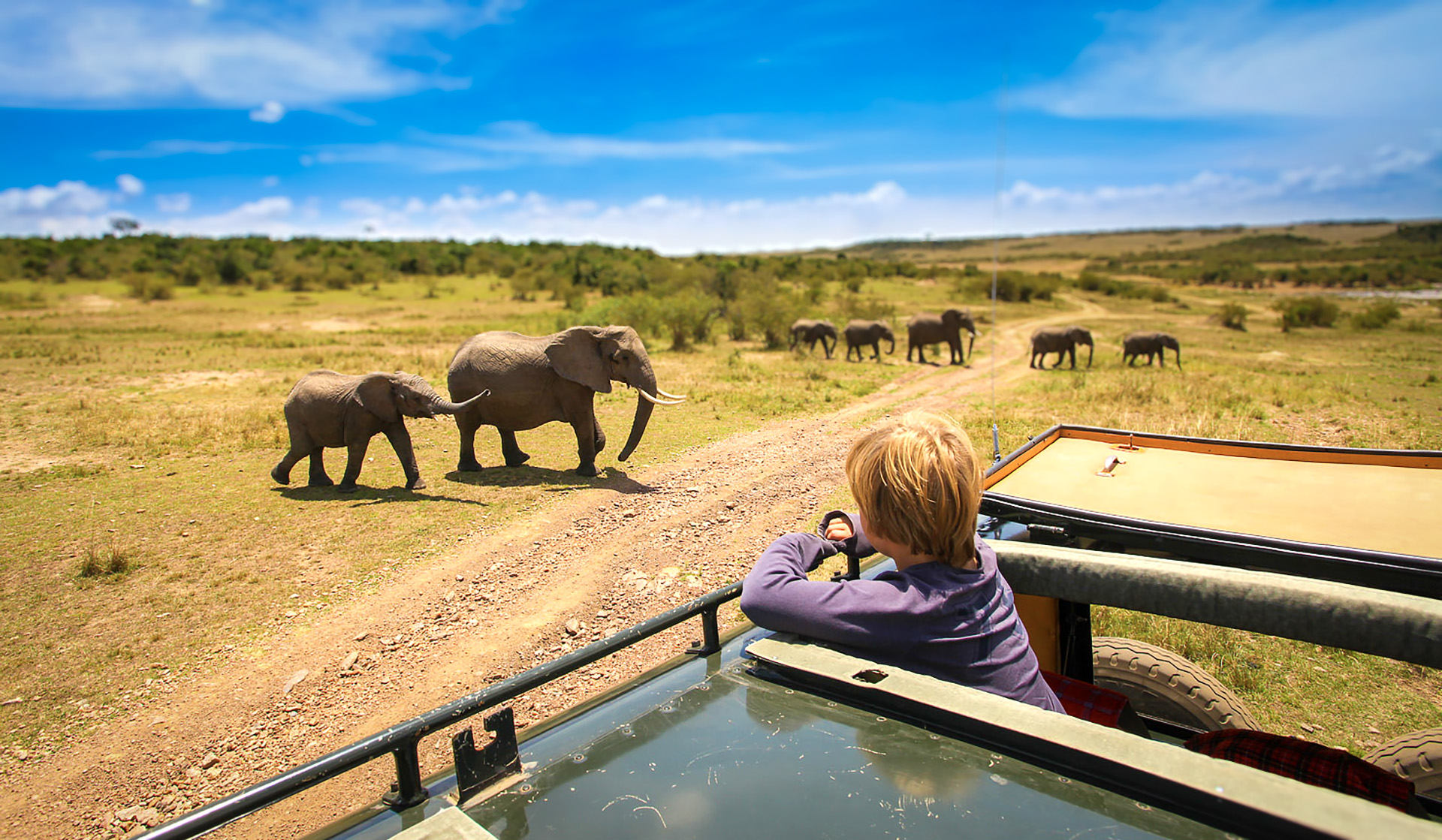 Family safaris