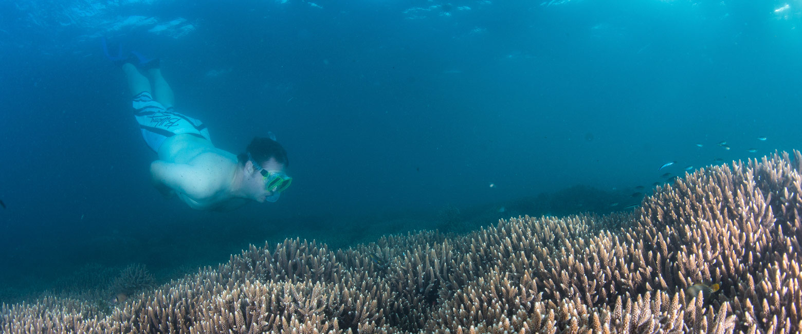 is best known for its incredible tropical coastline 