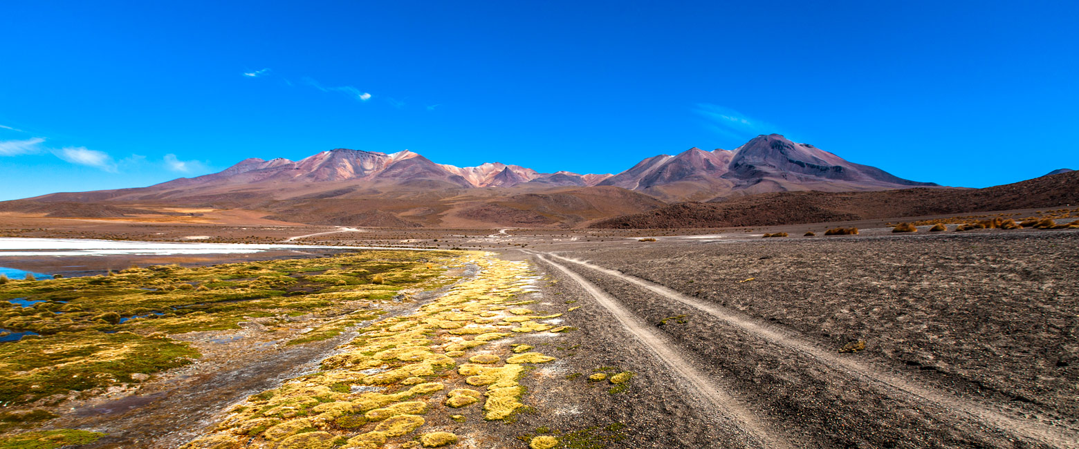 is a little-visited backwater, of surprising diversity 