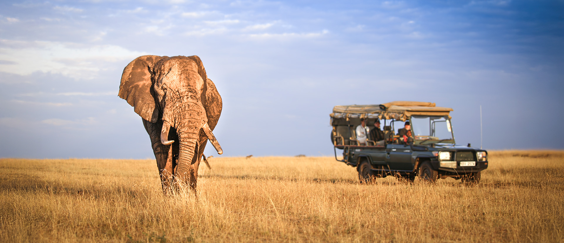 is a transition month in almost all locations 