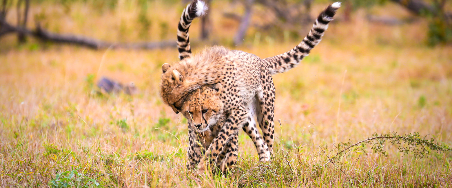 incredibly diverse country, a wonderful place to explore 