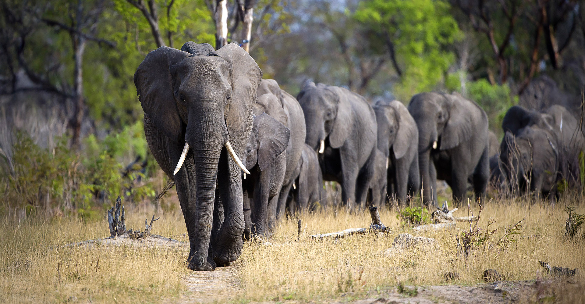 are experienced in many ways, easy from a vehicle, intense on foot 