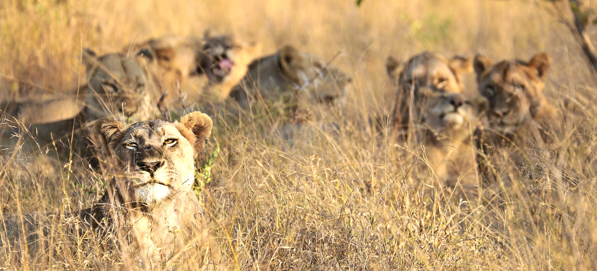 is by far the most-visited  wildlife reserve in Africa 