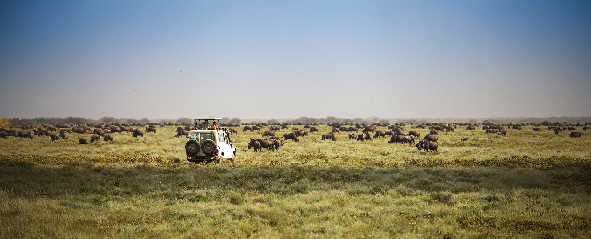 is the height of the dry season in most African safari countries