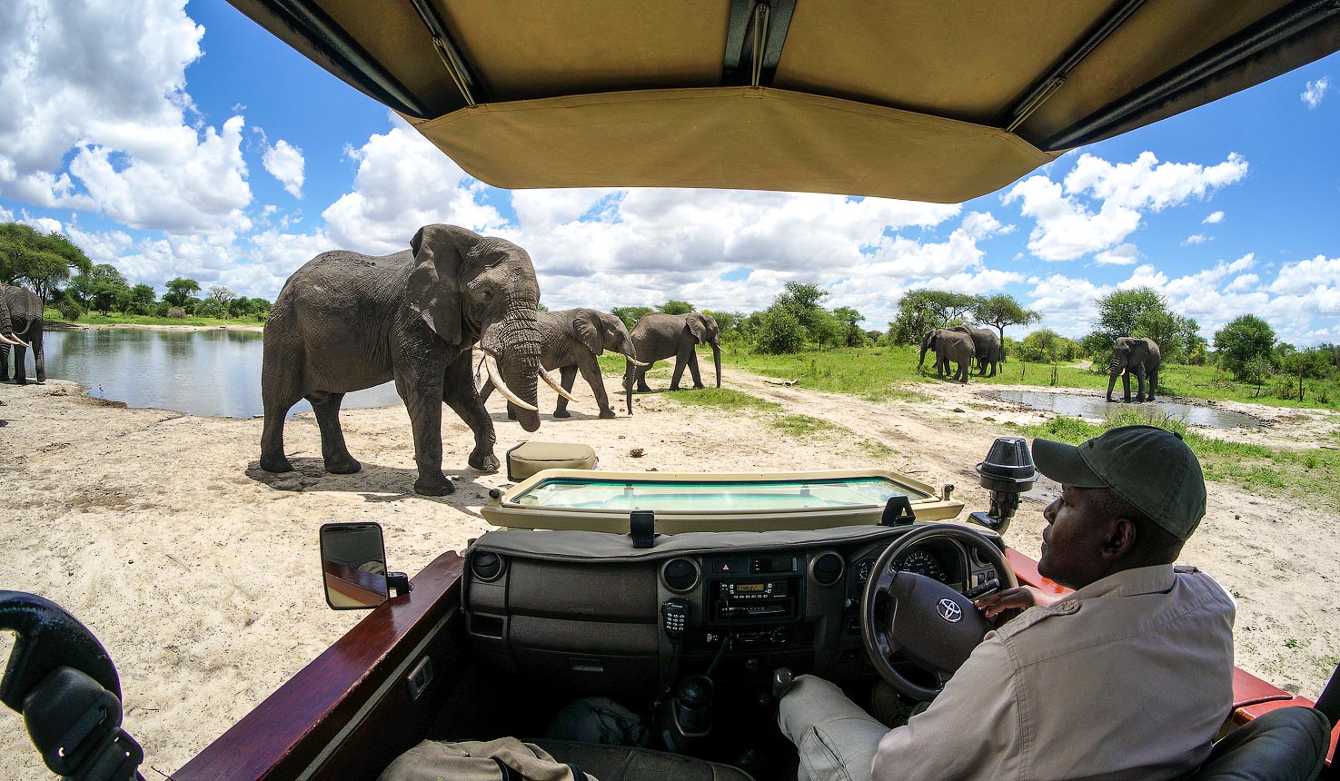 as success tends to stagnation, failure drives change  