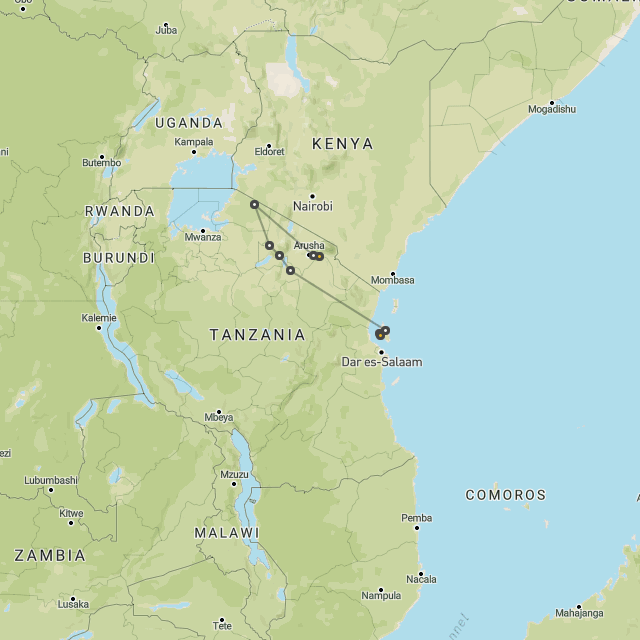 Serengeti, Tarangire & Zanzibar