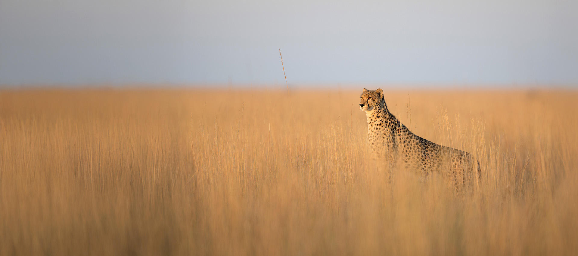 is the height of the dry season in most African safari countries 