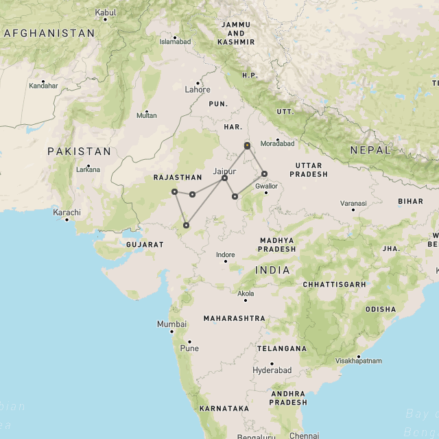 Rajasthan culture & tigers