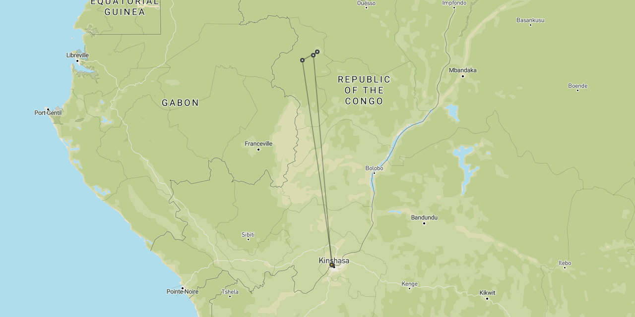 Extended gorillas in Congo