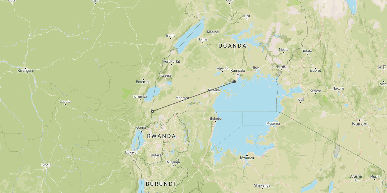 Gorilla safari in Uganda