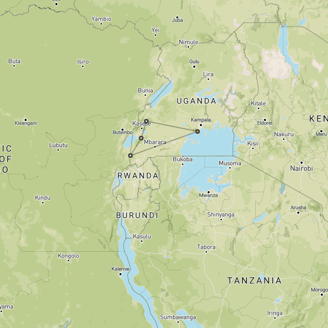 Gorillas, QE & chimps