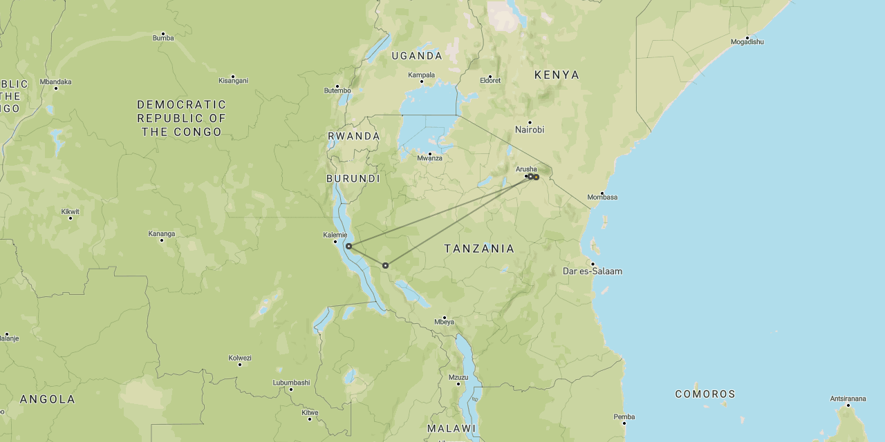 Chimpanzees in Mahale