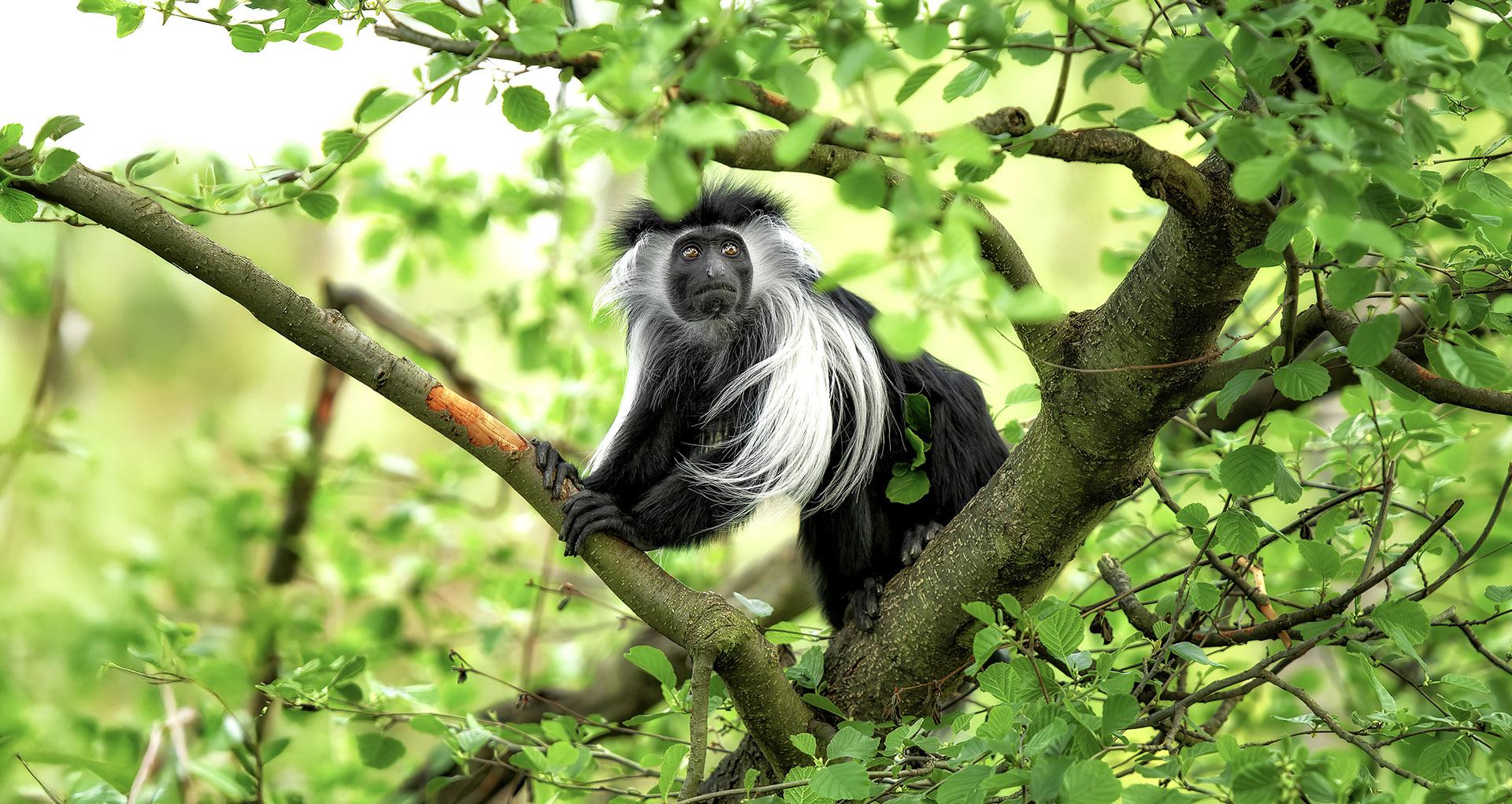 let us know how far you want to go and we will do our best to deliver 