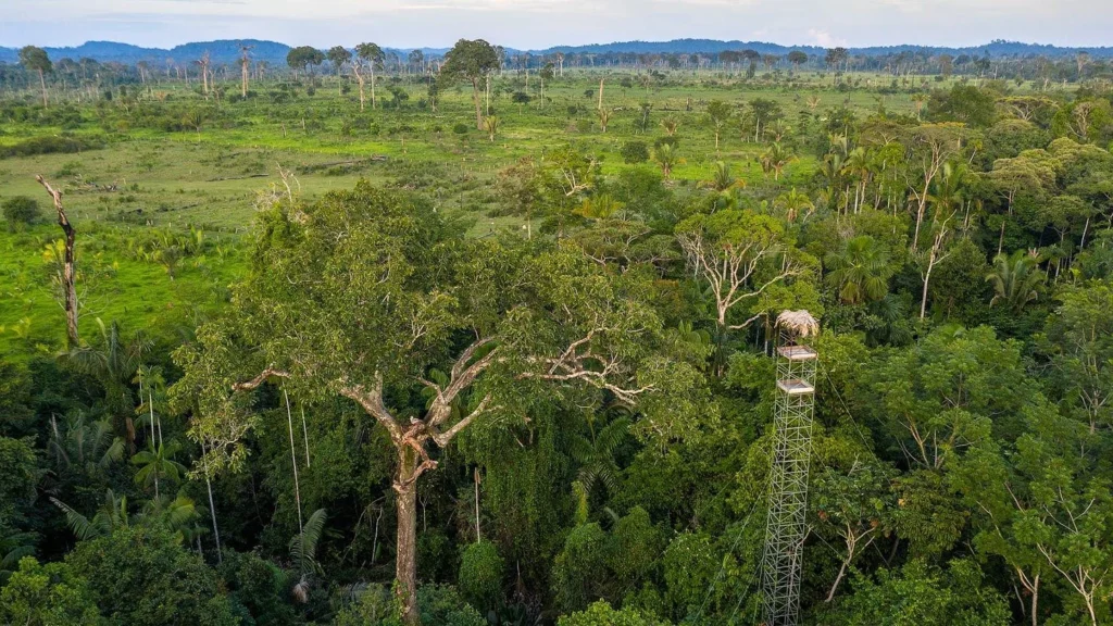 Alta Floresta Amazon