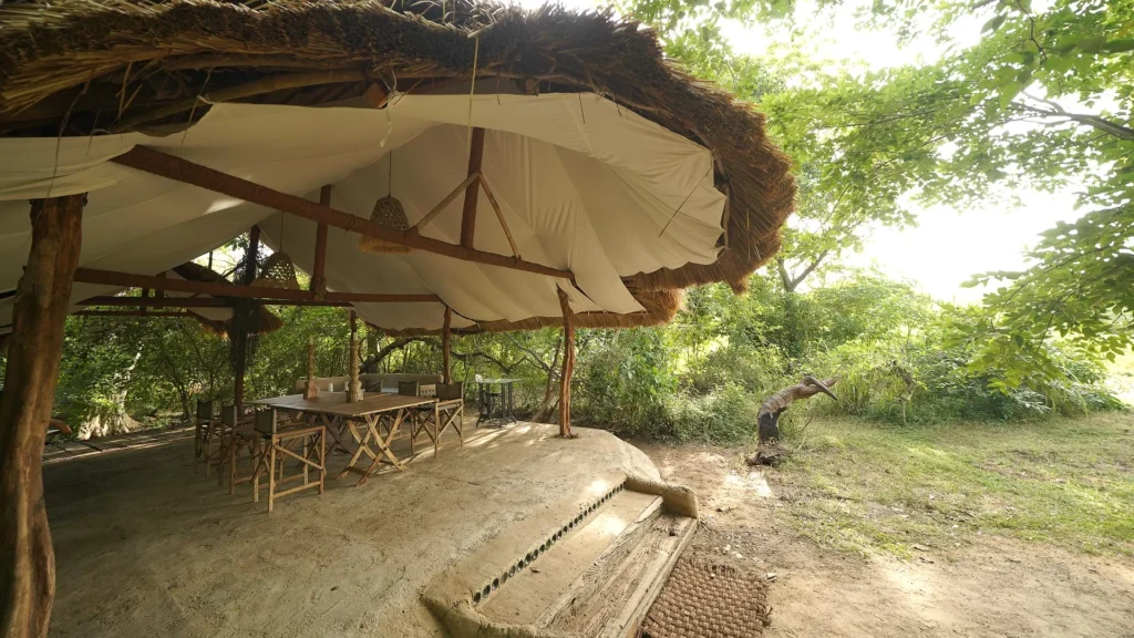 Leopard Trails Wilpattu