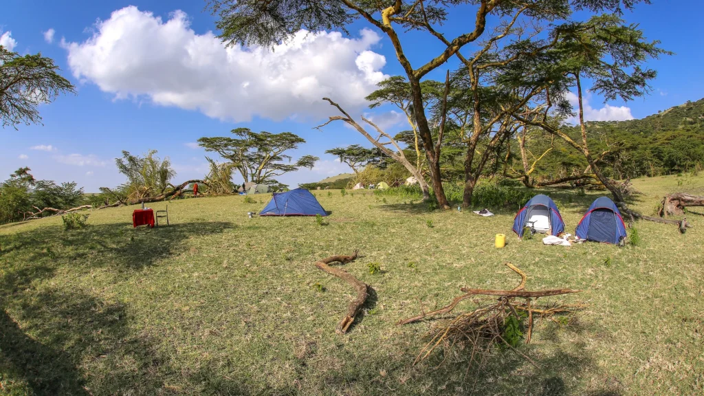 Acacia Bivouac