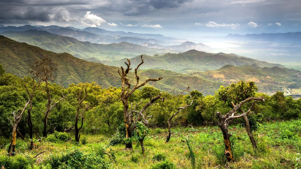 Chebera Expedition Camp