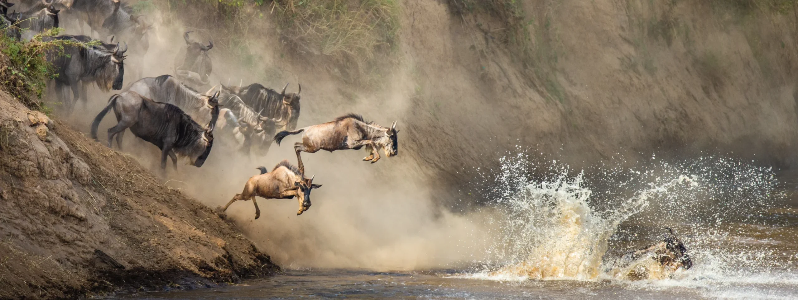 is the middle dry season in most African safari countries 