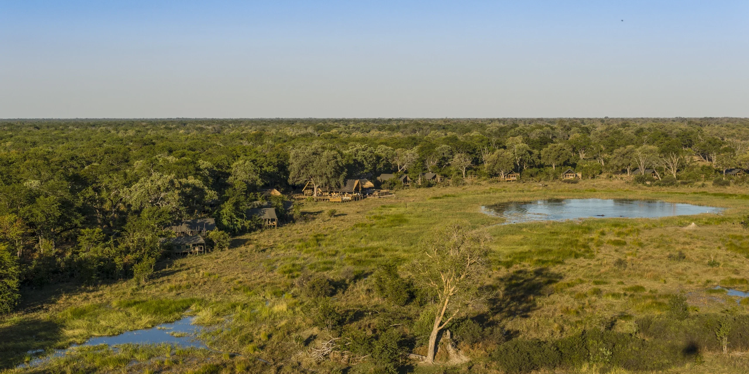 is an unusual month for safari, but there are some extremely interesting options