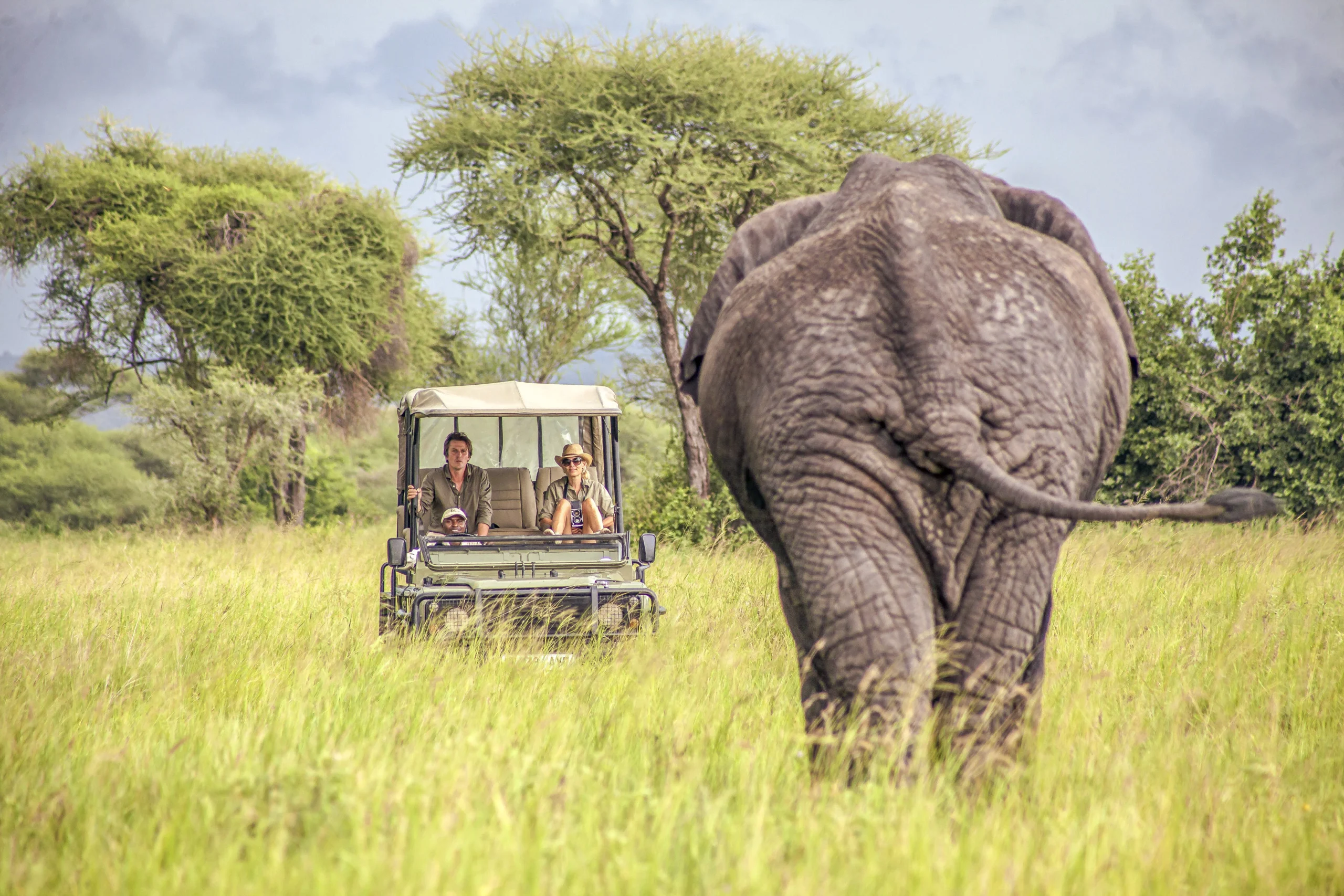 Luxury safaris