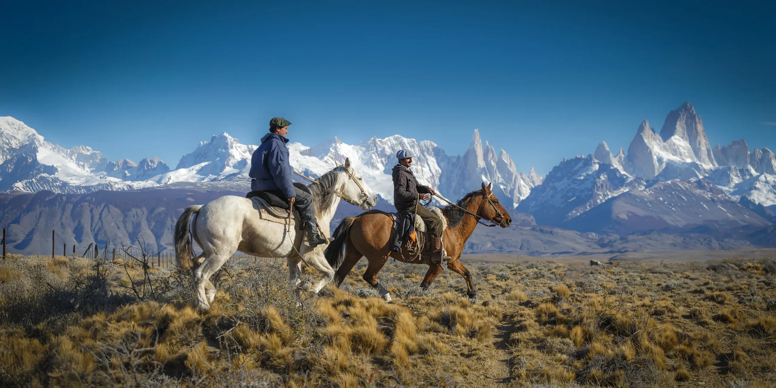 we have managed to assemble a genuine dream team 