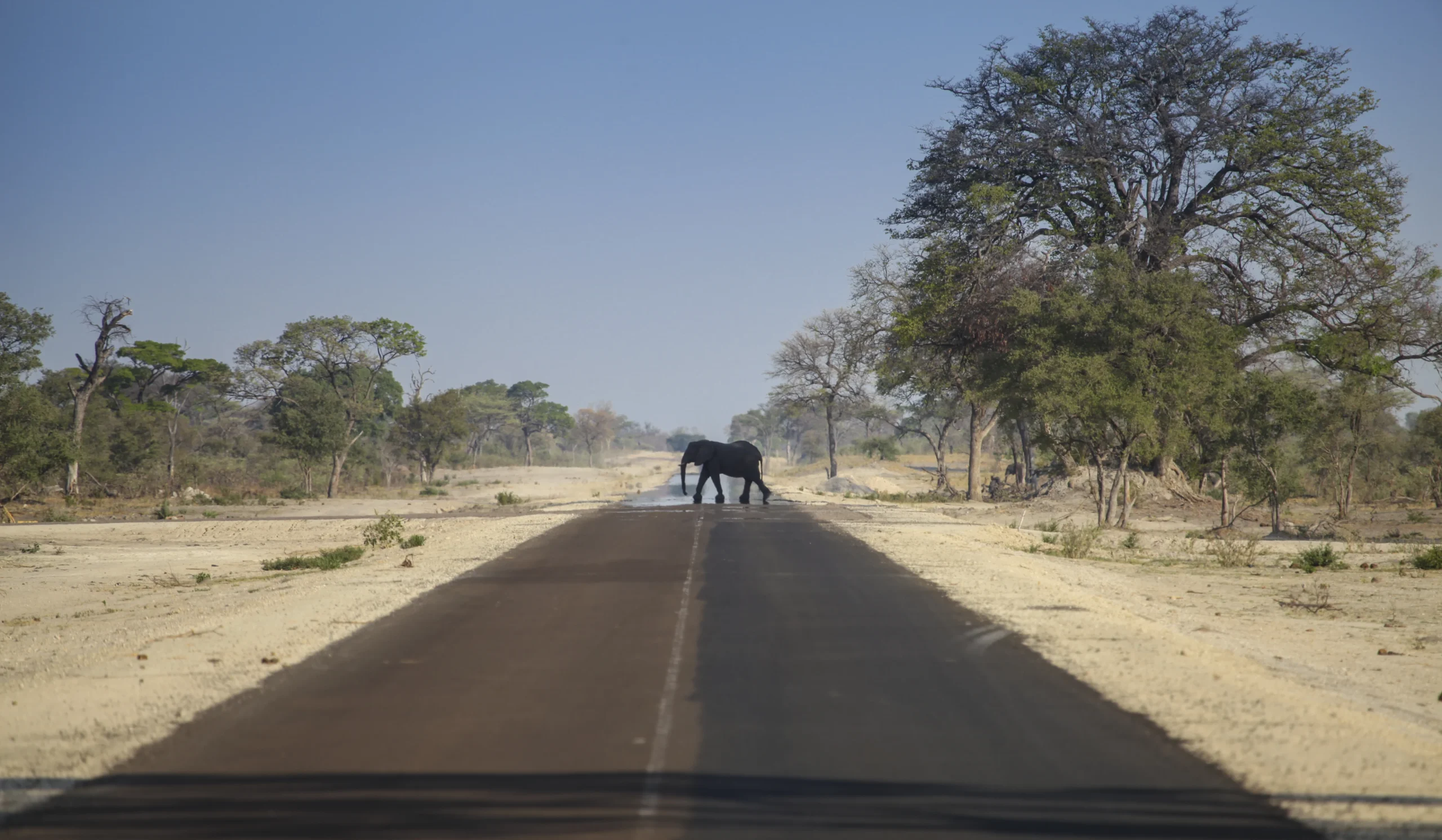 Self-drive safaris