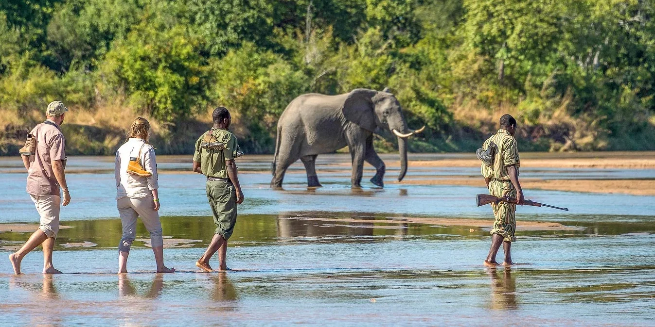 a passion for authentic travel is a great starting point 