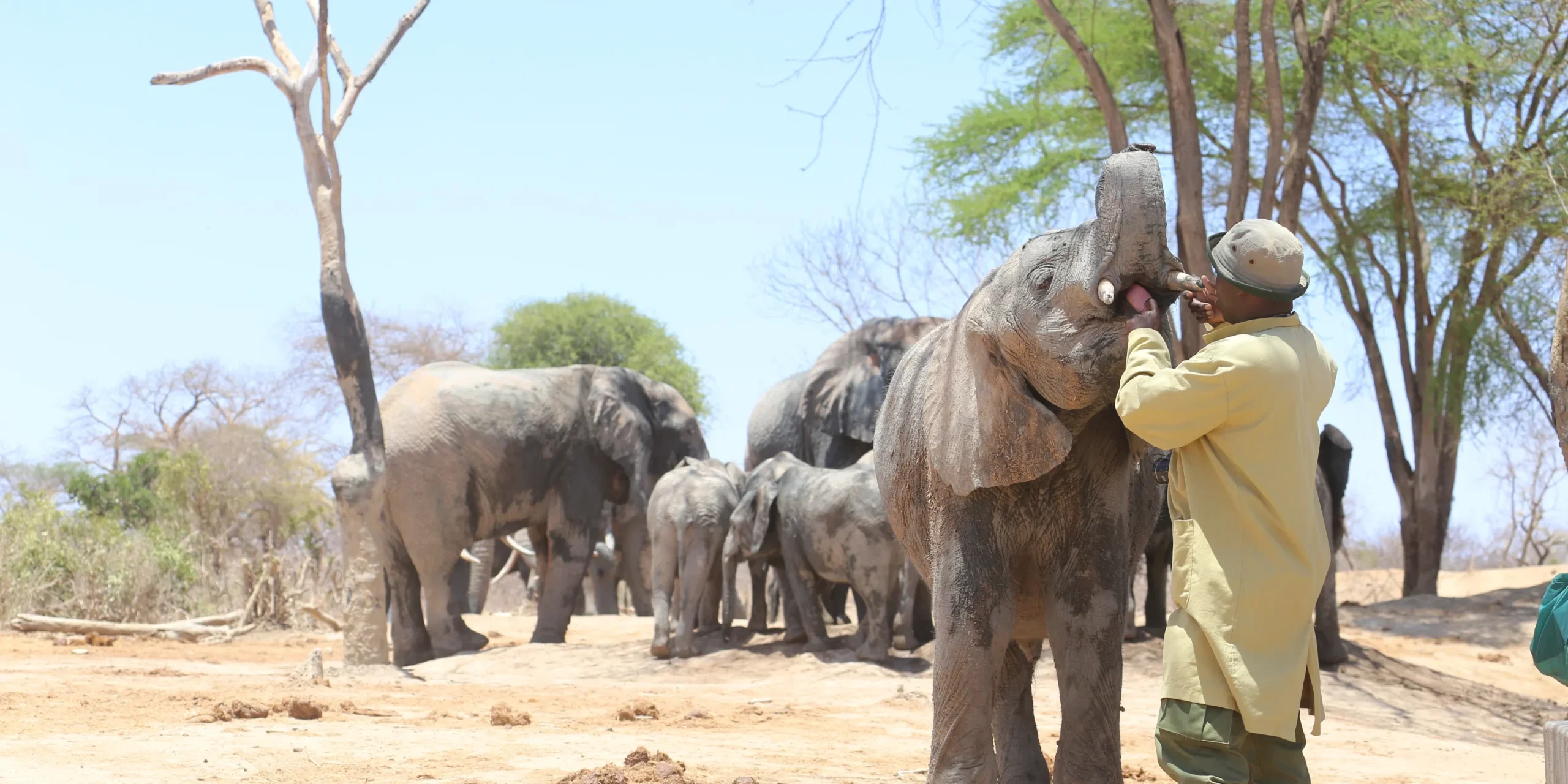 specifically explore the frontiers of wilderness 