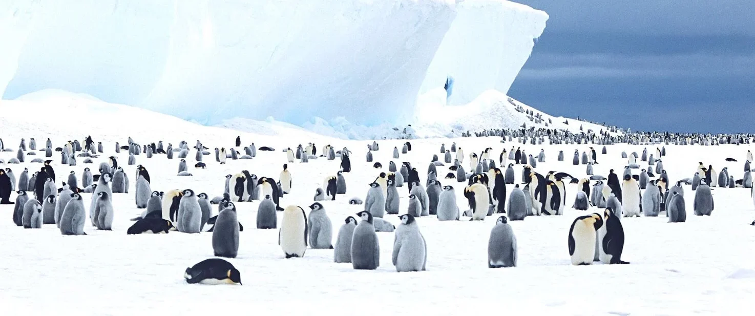 please feel free to contact any of us directly  