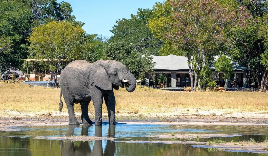 Little Makalolo Camp