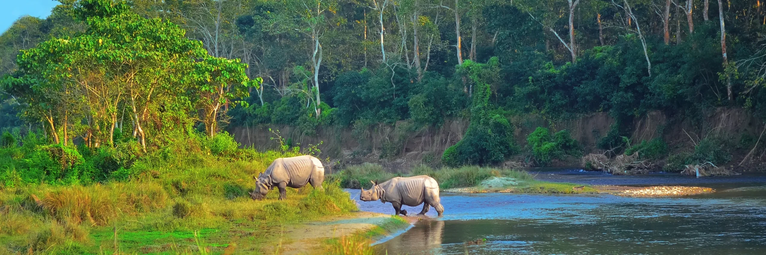 let us know about your specific interests and we will help build an amazing safari 