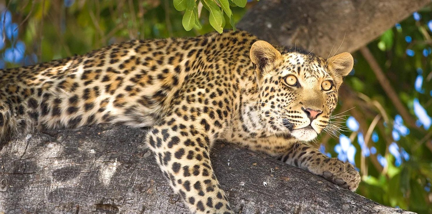 industry awards that took us by surprise  